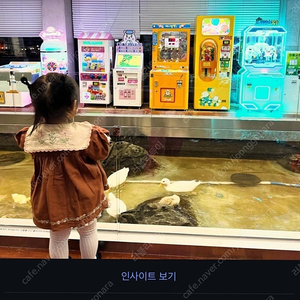 아폴리나 초블 st