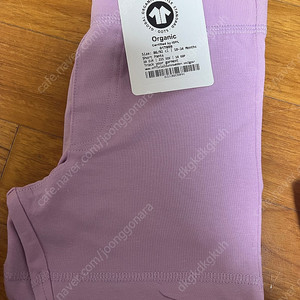 던스 모어댄 쇼츠 8692