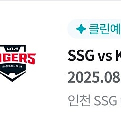 (정가양도) 8/28 기아타이거즈 VS SSG랜더스 3루 원정응원석 31블럭 2연석