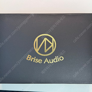 젠하이저 IE900 + 브리즈 BSEP for IE900