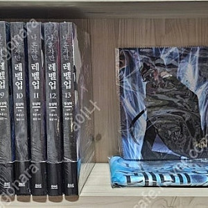 나 혼자만 레벨업 1~13
