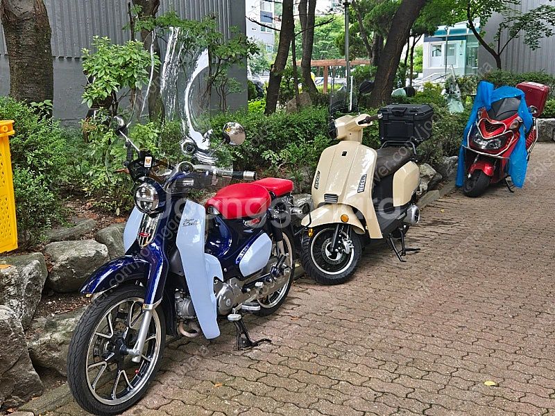 2020년식 C125 13000키로 팝니다--2