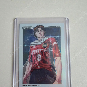 k리그 프리즘 파니니 이관우 망가 포함 전량 급처