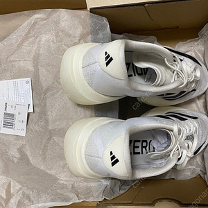 (255) 아디제로 evo sl (에보sl)