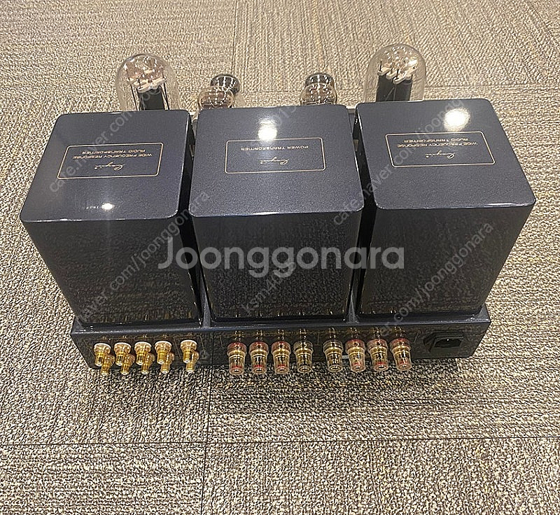 Cayin A-845mk2 진공관앰프--3