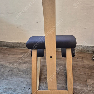 Varier 바리에르 노르웨이 명품 거북목 의자