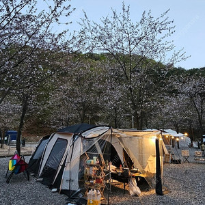 스노우라인 프라임디럭스