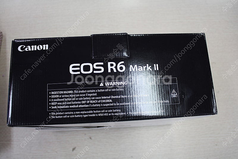 캐논 r6mark2--0