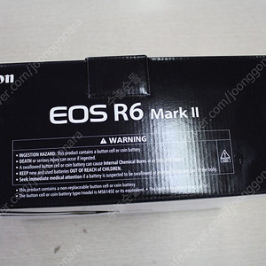 캐논 r6mark2