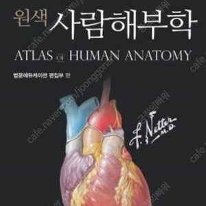 원색사람해부학 7판