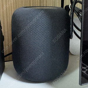 홈팟 2세대 미드나이트 2대