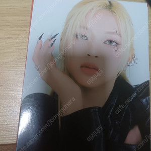 베이비몬스터 치키타 포토북