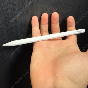 애플펜슬 프로