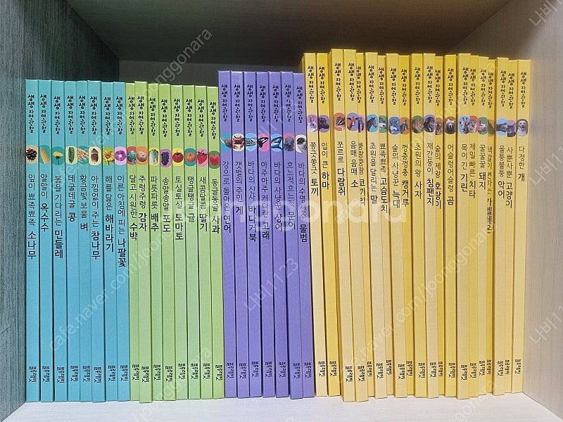 블루래빗 자연관찰 풀세트--0