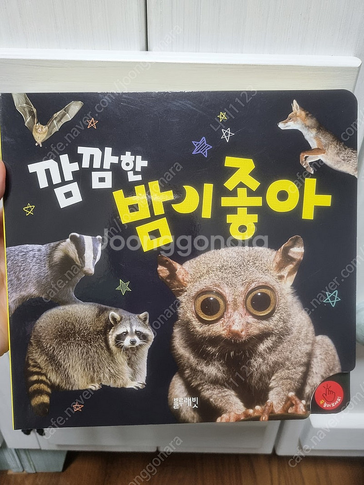 블루래빗 자연관찰 풀세트--3