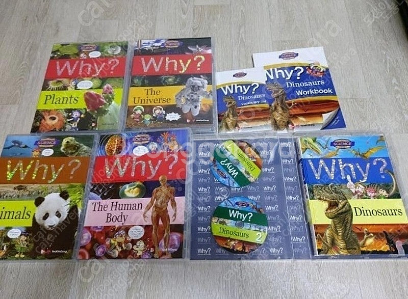 와이 사이언스 영어 5세트--0