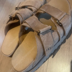 어그 골든스타 하이슬라이드 7(240)체스트넛