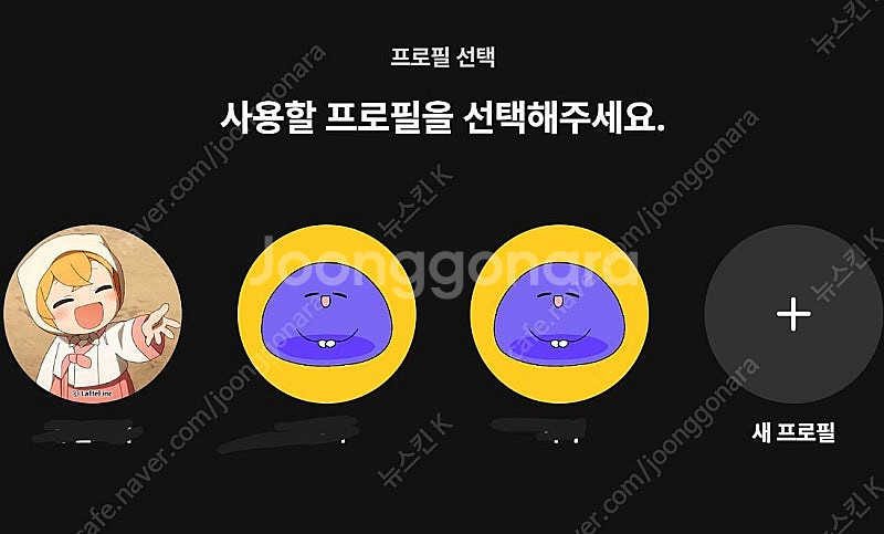 라프텔 프리미엄 1년 모집합니다~--0