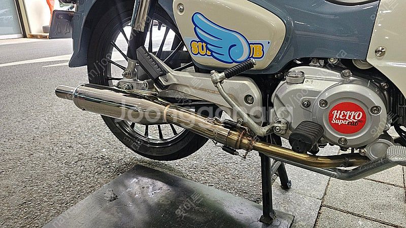 24년 슈퍼커브 110 펄그레이--1