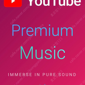 유튜브 프리미엄 + 뮤직 개인 1년 구독