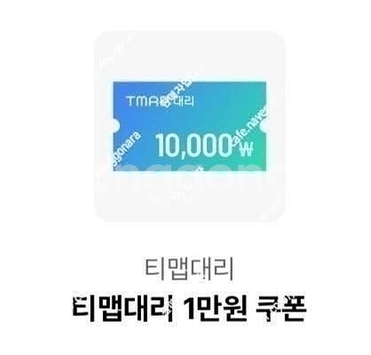 Tmap대리 티맵 대리 1만원권 티맵대리 금액권 티맵대...--0