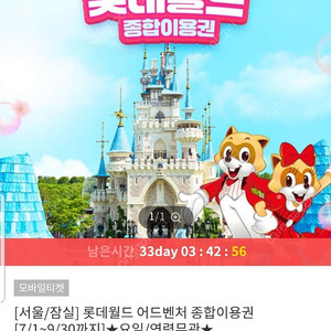 롯데월드종합이용권