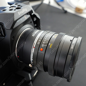 라이카 ELMARIT-R 24mm F2.8 asph / NovoFlex R-L 마운트