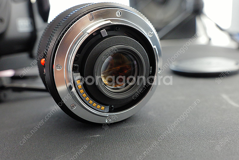 라이카 ELMARIT-R 24mm F2.8 asph /...--3