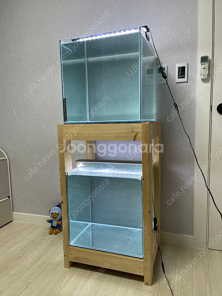 (경기 북부) 프리미엄 켈란 크리스탈 45큐브 수조 6...--0