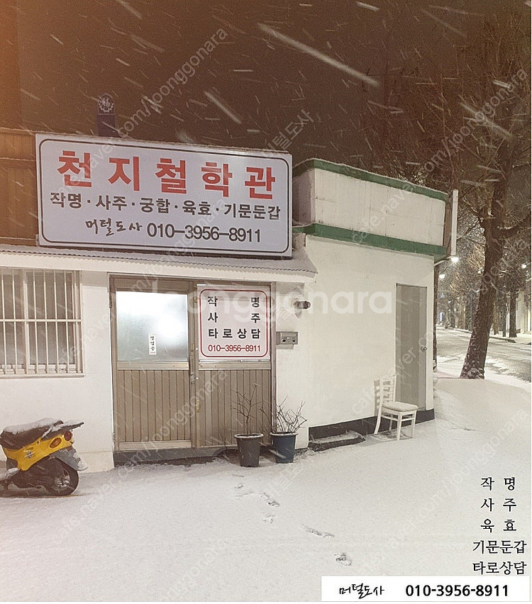 명리학과 질병론(사주팔자는 정직하다)/사주명리 역학 절...--9