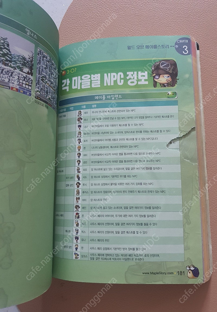 메이플스토리 가이드북 팝니다 이미지
