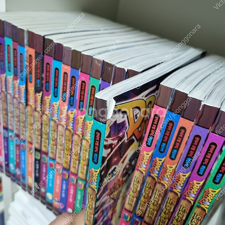 드래곤빌리지--1