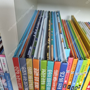 키즈스콜레 사파리 숨은그림 찾기