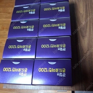 콘드로이 친 1200