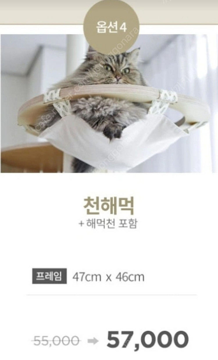 가또블랑코 캣폴 부속품 천해먹 고양이--0