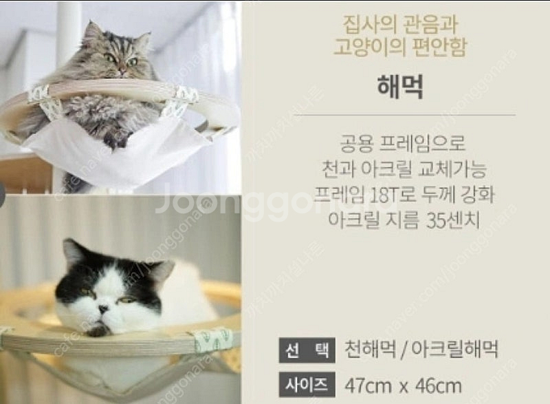 가또블랑코 캣폴 부속품 천해먹 고양이--1