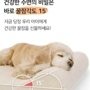 헨로포우 본본스 침대 L 매트리스 + 방수 커버