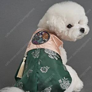 강아지 고양이 / 금화단한복 남아 그린 & 핑크 L