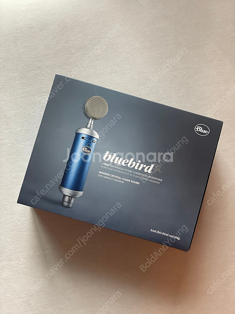 블루버드 SL Bluebird SL 콘덴서 마이크 풀박...--6