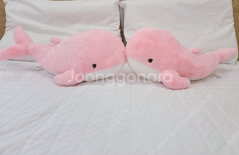 새제품 50cm 핑크고래 인형 고래인형--0