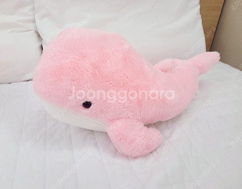 새제품 50cm 핑크고래 인형 고래인형--1