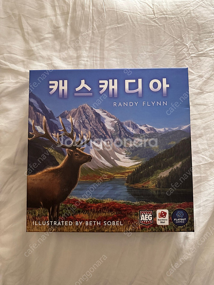 보드게임 4종(로스트시티,캐스캐디아,시타델,타르기)--5