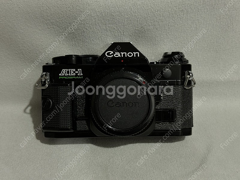 캐논 AE-1 Program 블랙+nFD 50.4 (신...--1