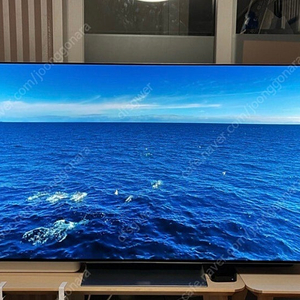 LG TV 최상급 24년식 55인치 oled55g4kna 엘지 티비