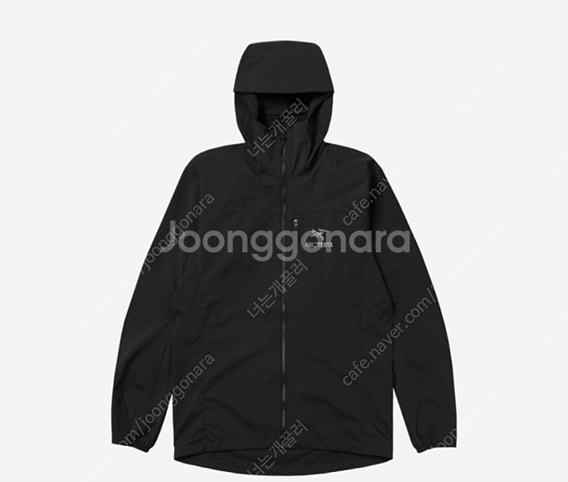 [L]아크테릭스 스쿼미시 후디 블랙--0