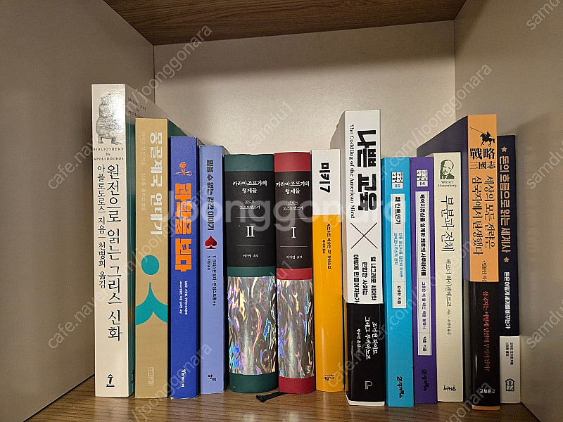 카라마조프가의 형제들 등(택배비 미포함)--0