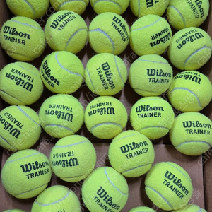 테니스공 윌슨트레인