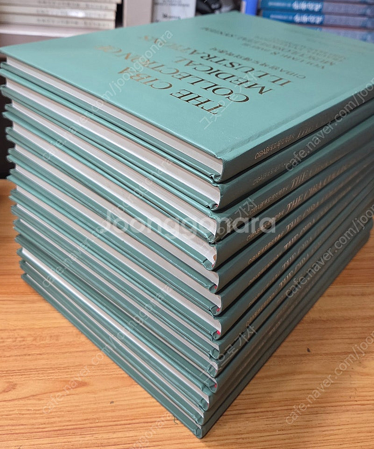 CIBA 원색도해의학총서 전13권 특A급 택포--1