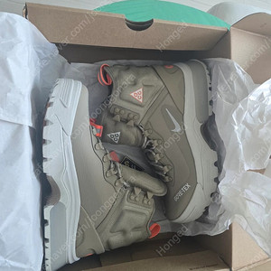 나이키 ACG 가이아돔