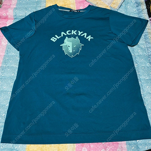 아동 150~160호 아디다스 블랙야크 키즈 여름 반팔티셔츠 반바지 상하복 일괄